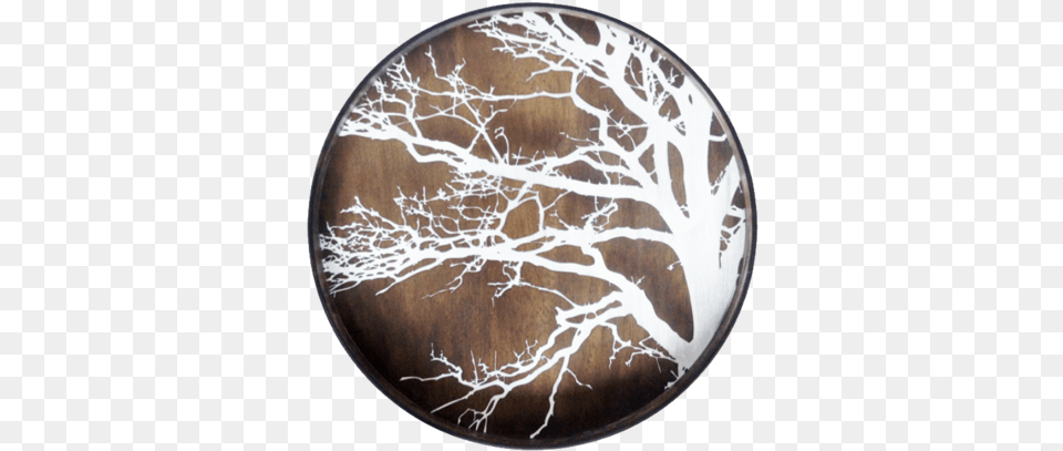 Notre Monde, Plant, Tree Png