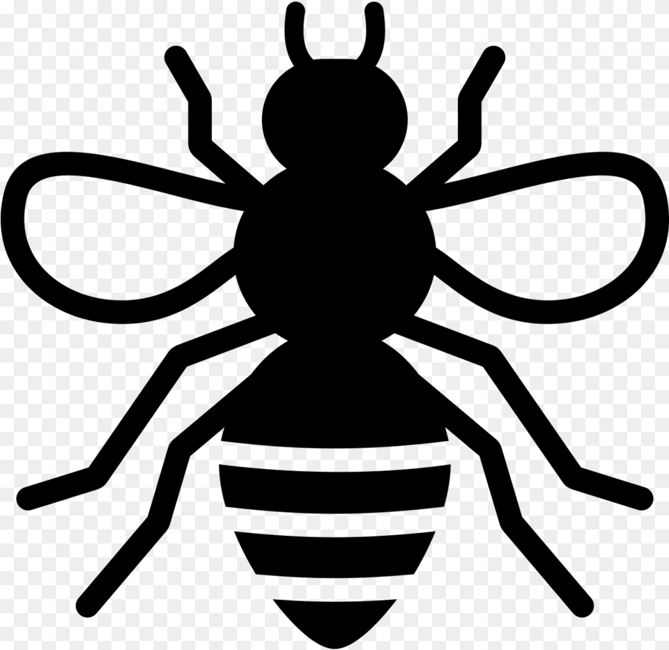 Noun Bee Stingless Bee Icon, Gray Png