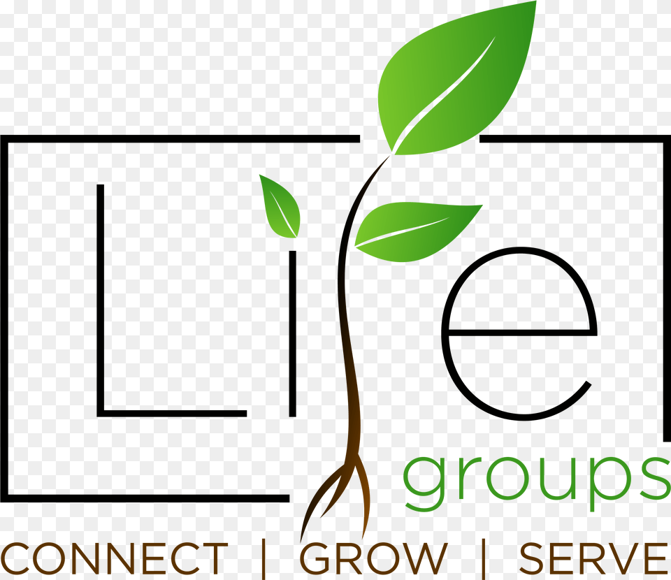 Nov 2017 Graphics, Herbal, Herbs, Leaf, Plant Free Transparent Png