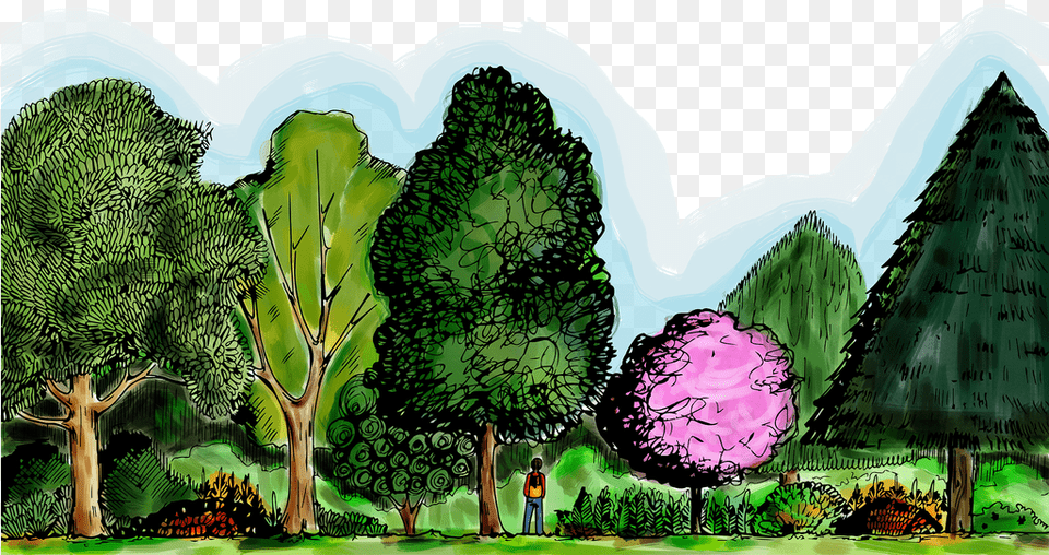 Nov Illustration, Vegetation, Tree, Plant, Grass Free Transparent Png