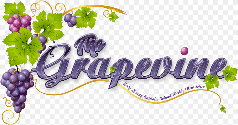 Nov2018 Grape Vine Clipart, Food, Fruit, Grapes, Plant Free Png