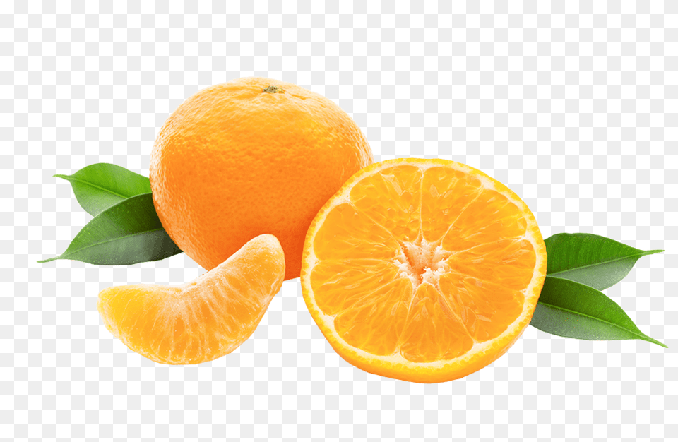 Nova Clementine Tangerine, Citrus Fruit, Food, Fruit, Orange Free Transparent Png