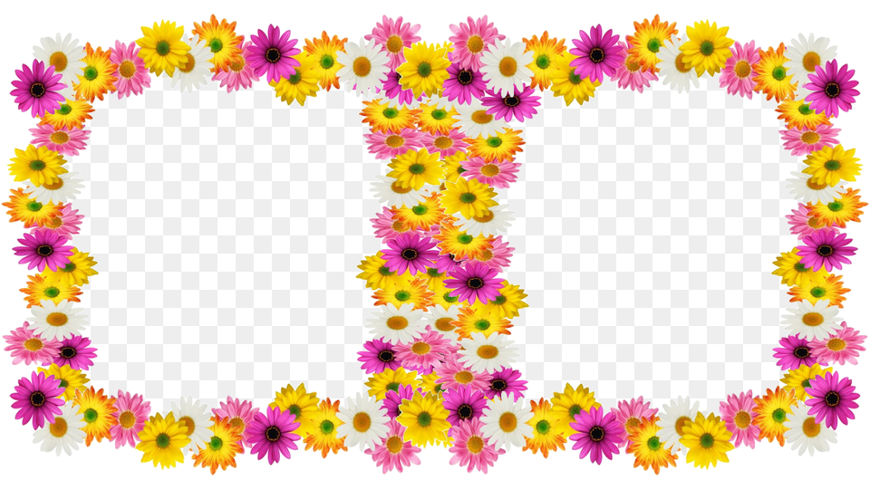 Novas Molduras Primavera Para Fotos, Plant, Pattern, Graphics, Flower Arrangement Png Image