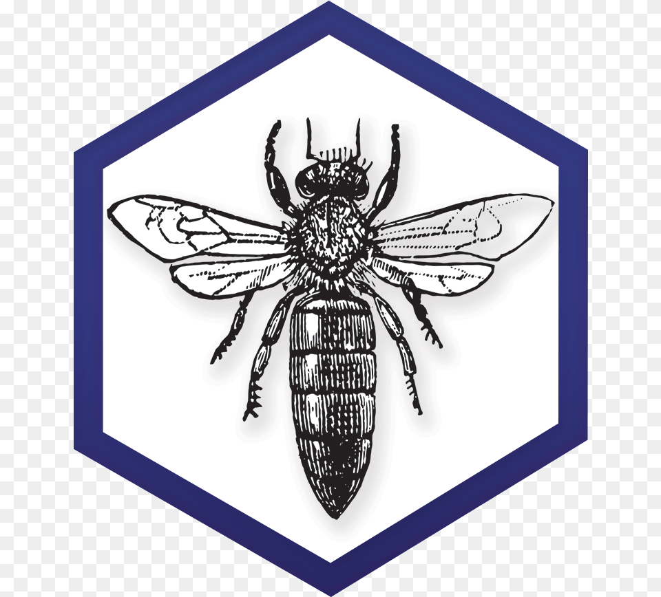 November 2018 Newsletter Ny Bee Wellness Exotic Car Dealership Logo, Animal, Insect, Invertebrate, Wasp Png Image