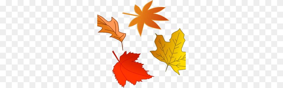 November Clip Art, Leaf, Plant, Tree, Maple Leaf Free Png