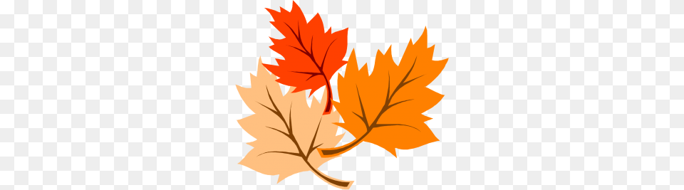 November Clipart, Leaf, Plant, Tree, Maple Leaf Free Png