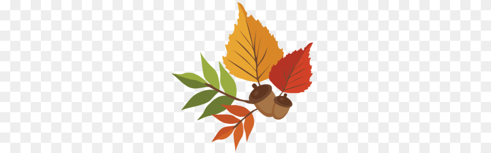 November Clipart, Plant, Leaf, Vegetable, Produce Free Transparent Png