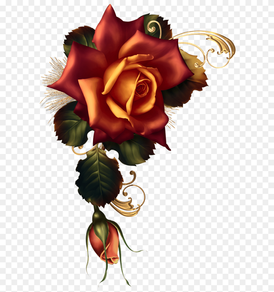 November Embers Moonbeam, Flower, Plant, Rose, Flower Arrangement Free Png