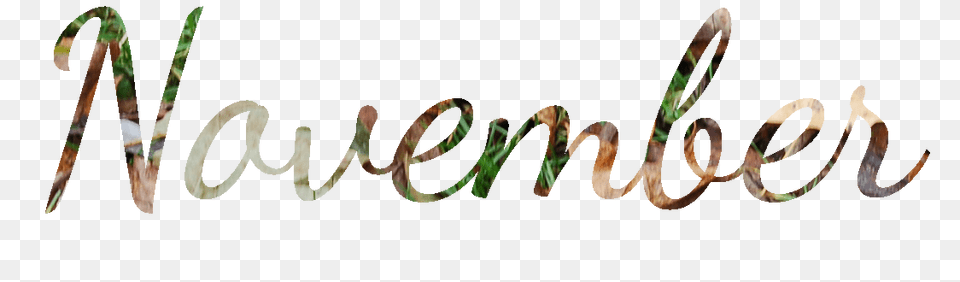 November Hd, Coil, Spiral, Text Free Transparent Png