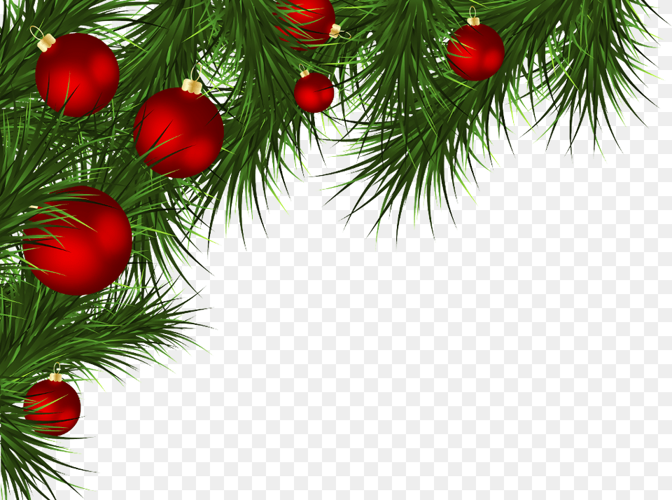 Novijgod Novij God Elka Happynewyear Newyear Frame Christmas Border, Conifer, Plant, Tree, Yew Free Png Download