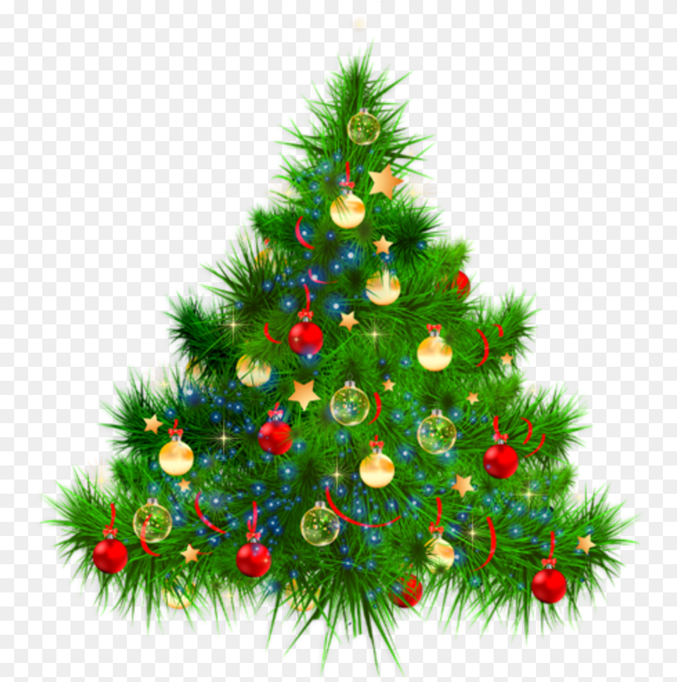 Novogodnie Foni, Plant, Tree, Christmas, Christmas Decorations Png