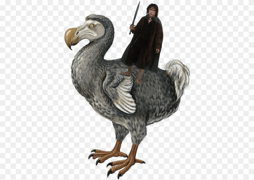 Now Get Ready For Dodo Dinosaur, Weapon, Sword, Animal, Bird Png Image