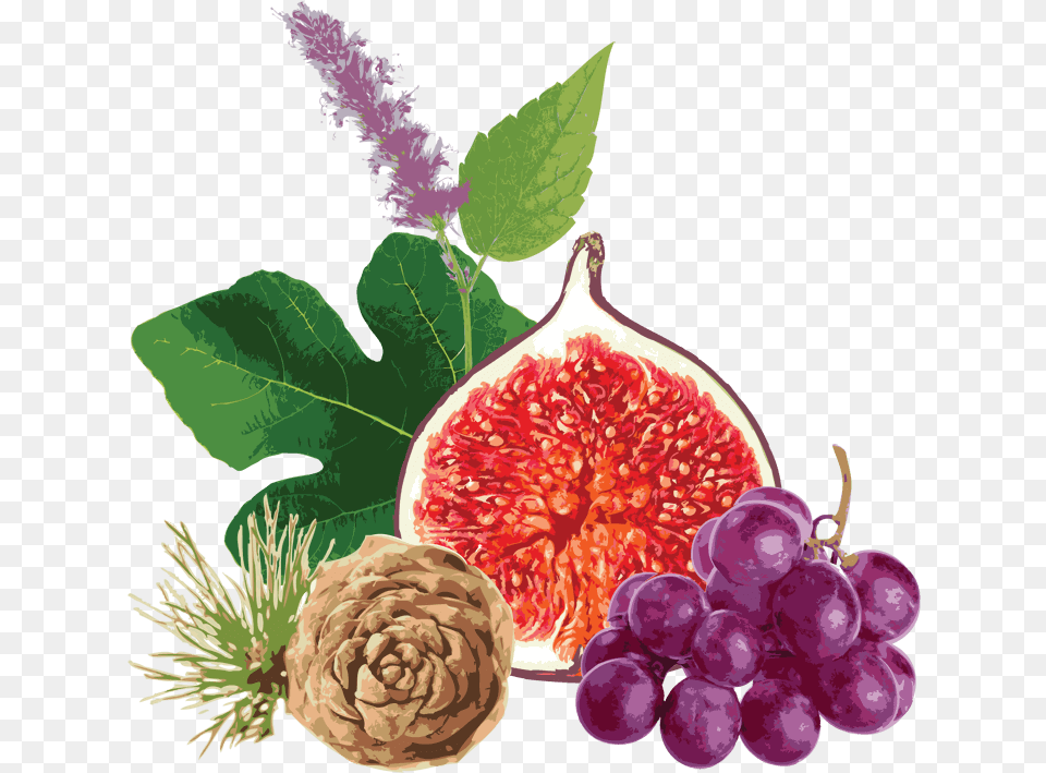 Now Grape, Food, Fruit, Plant, Produce Png