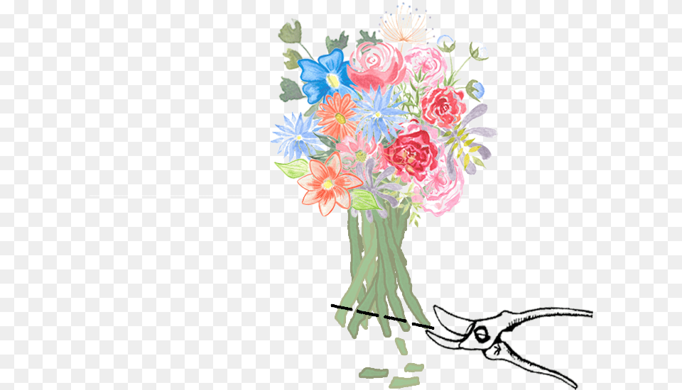 Now That Youve Received Our Beautiful Poppy Bouquet Bouquet, Art, Floral Design, Flower, Flower Arrangement Free Transparent Png