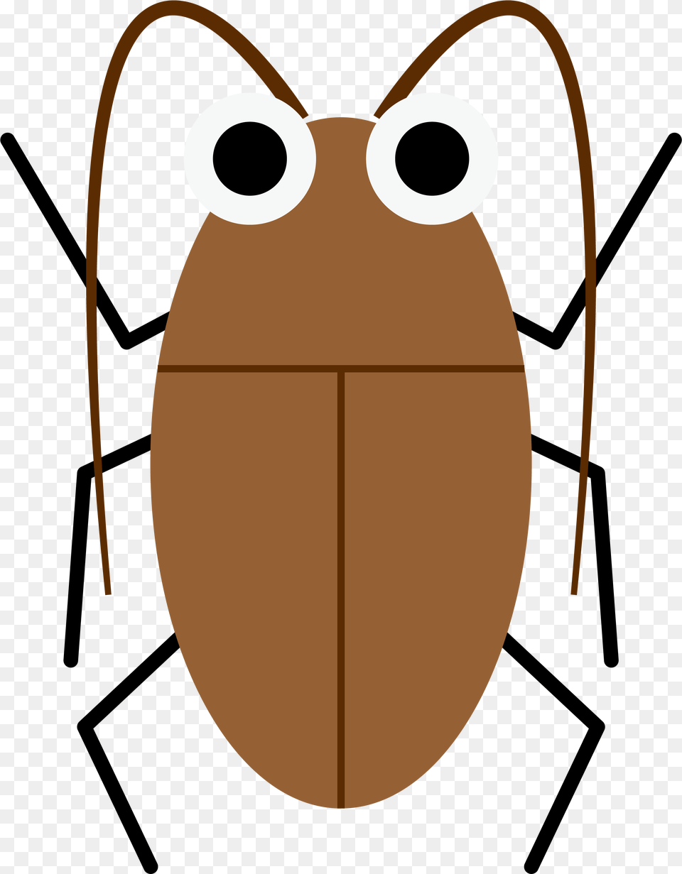 Now You Can Beat Any Big Cockroaches With Those Powerful Cockroach Shirt, Animal, Insect, Invertebrate Png