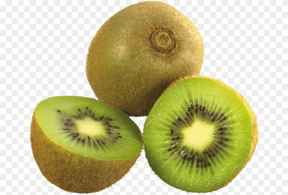 Now You Can Download Kiwi Icon Clipart Kiwi Fruit, Food, Plant, Produce, Animal Png Image