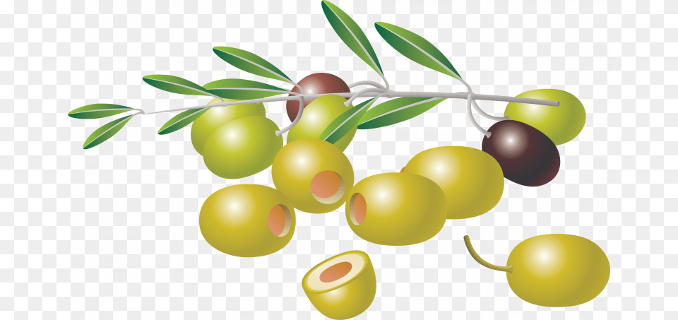 Now You Can Olives Picture Clipart Picture Of Olives, Food, Fruit, Plant, Produce Free Png Download
