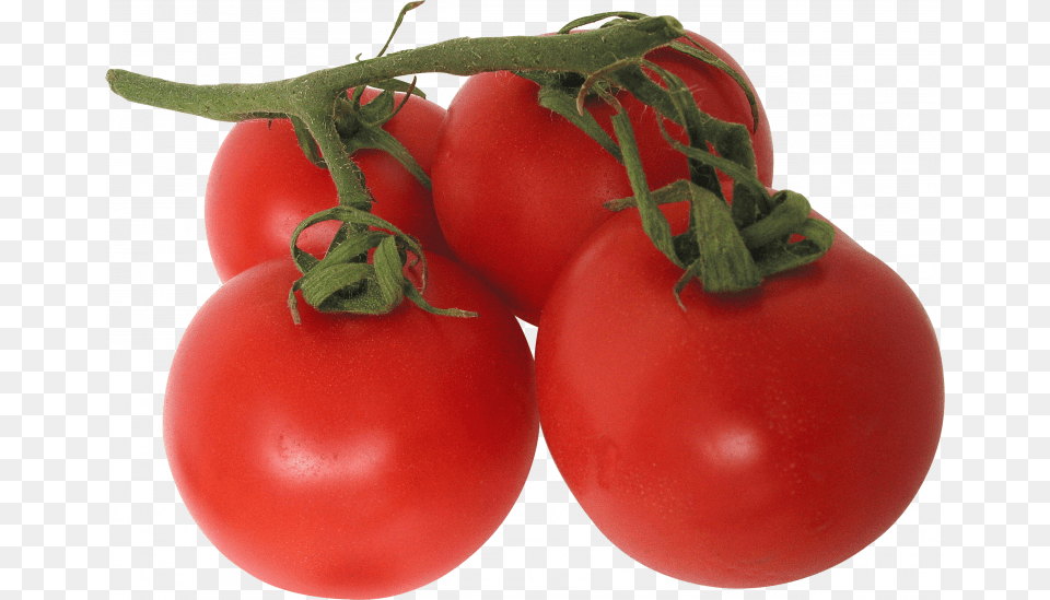 Now You Can Tomato Icon Background Tomatoes, Food, Plant, Produce, Vegetable Free Png Download