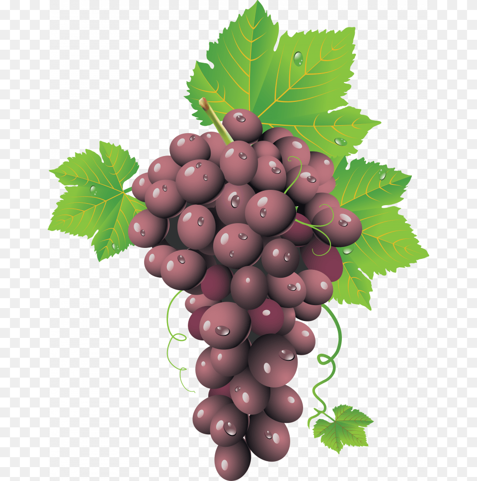 Now You Can Grape Icon Grape Seed, Food, Fruit, Grapes, Plant Free Png Download