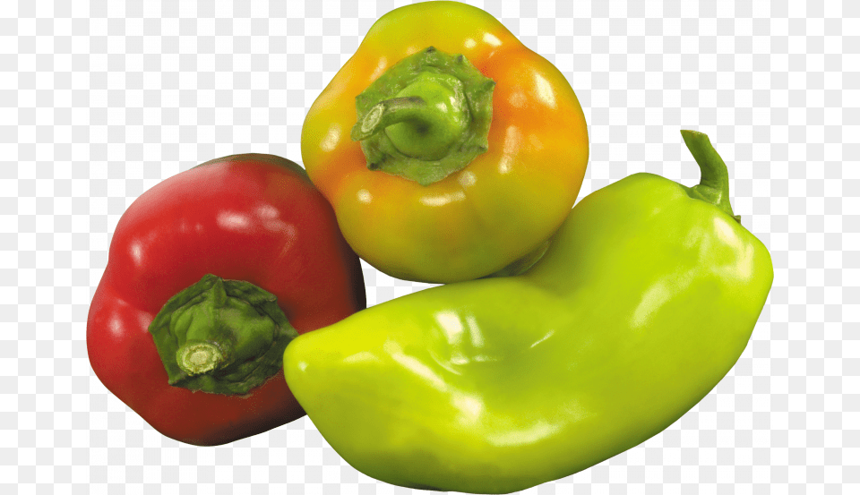 Now You Can Pepper Icon Bell Pepper Price Philippines, Bell Pepper, Food, Plant, Produce Png