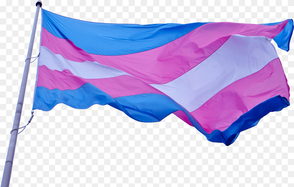 Npp National Progress Party Flag 11 Waving Transgender Flag Gif Free Png Download