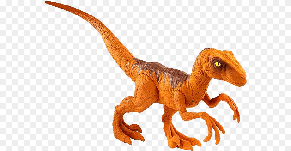 Nr Velociraptor Jurssic World, Animal, Dinosaur, Reptile, T-rex Free Png