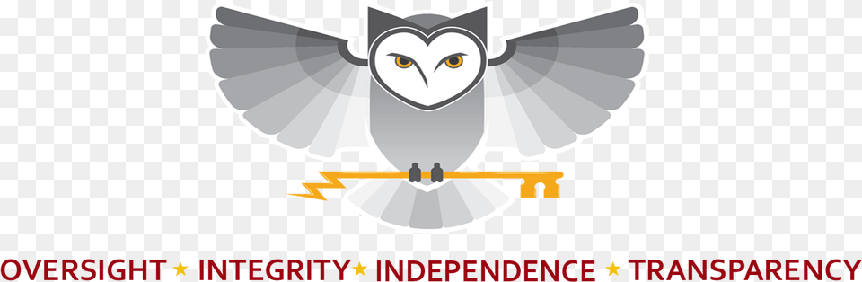 Nsa Gov Accessibility Office Of Inspector General Diamond, Animal, Bird, Owl Png Image