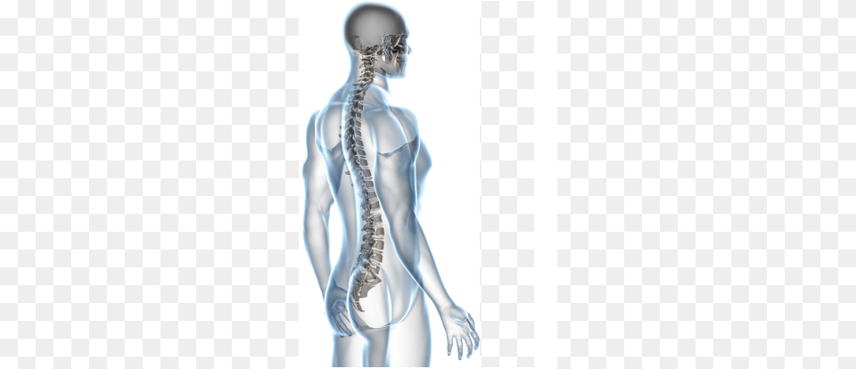 Nsd Includes The Balancing Of Muscle Energy It Has Operative Techniques Of Spine Surgery, Adult, Female, Person, Woman Png