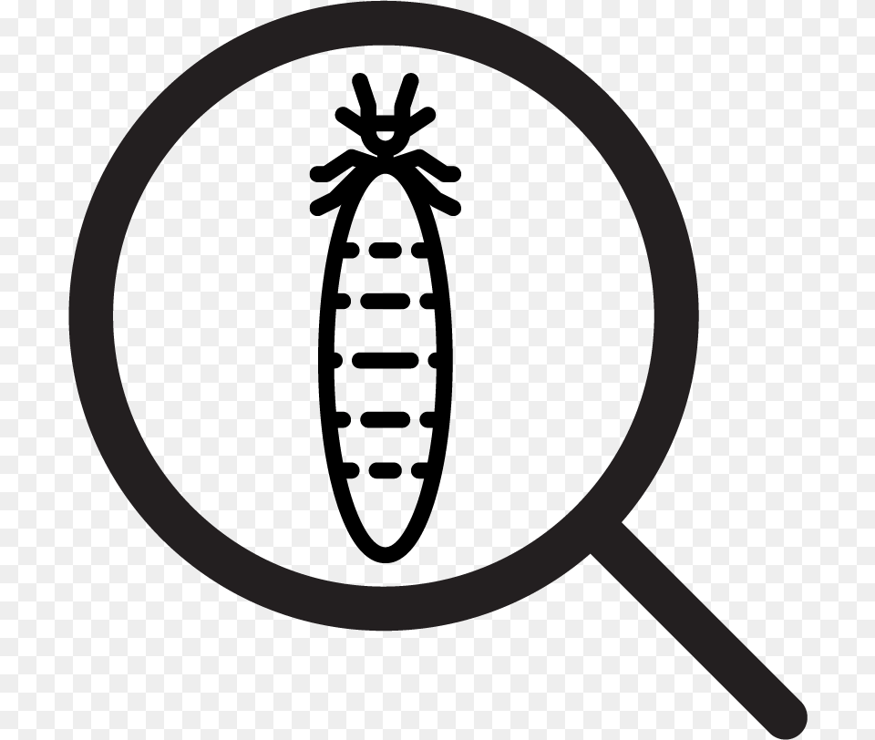 Nsw Sellers Icon Termite, Racket, Magnifying Png Image