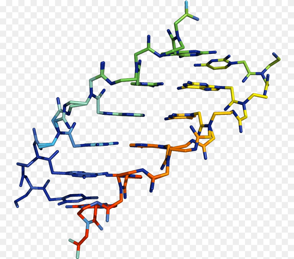 Nucleic Acid, Chart Free Png Download