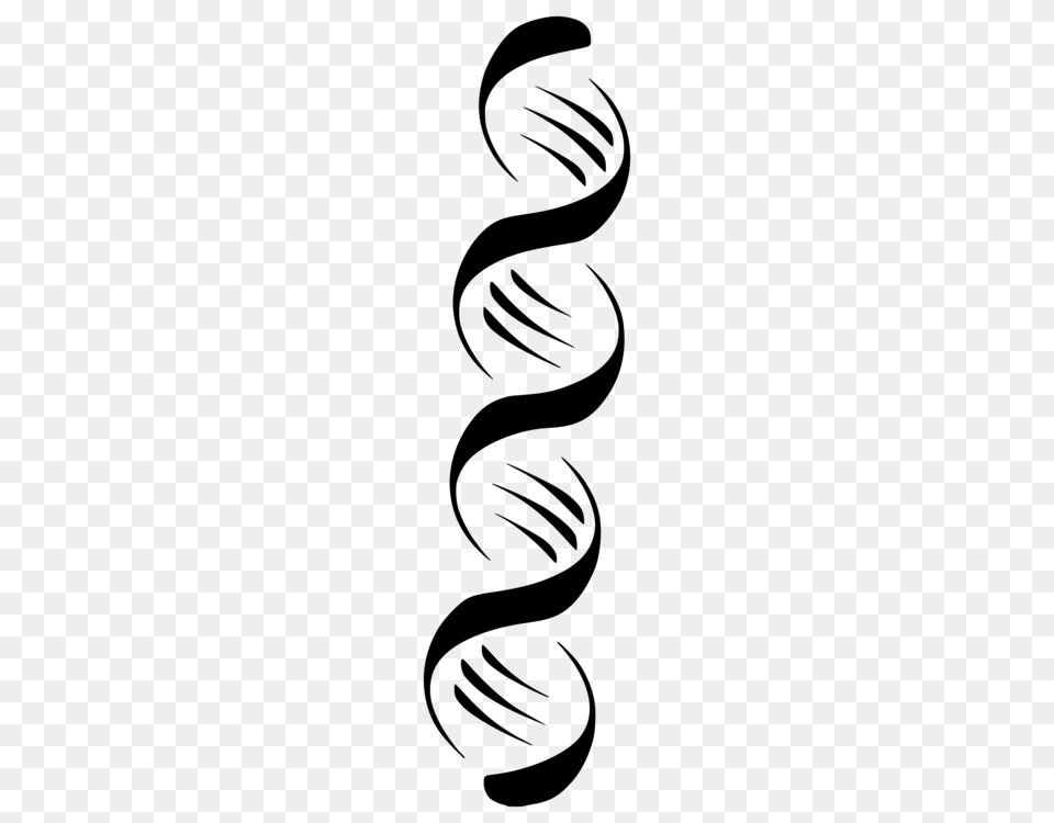 Nucleic Acid Double Helix A Dna Computer Icons, Gray Png