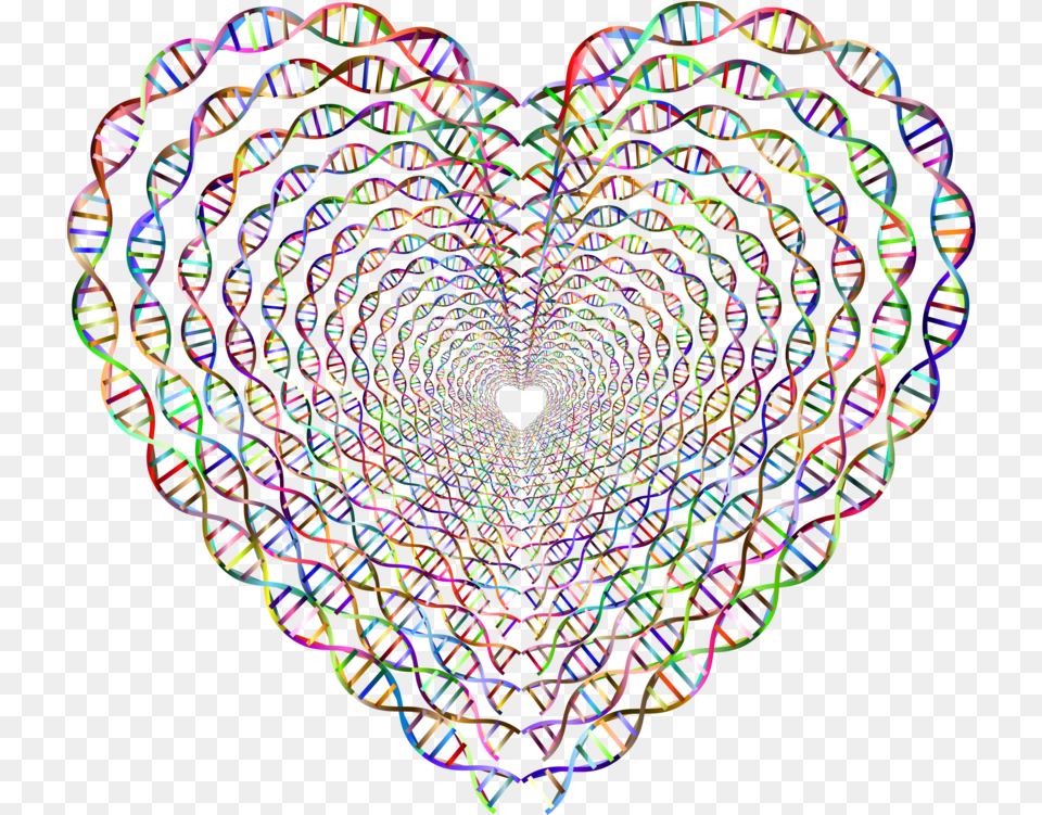 Nucleic Acid Double Helix Coloring Book Dna Heart Art, Accessories, Fractal, Ornament, Pattern Png