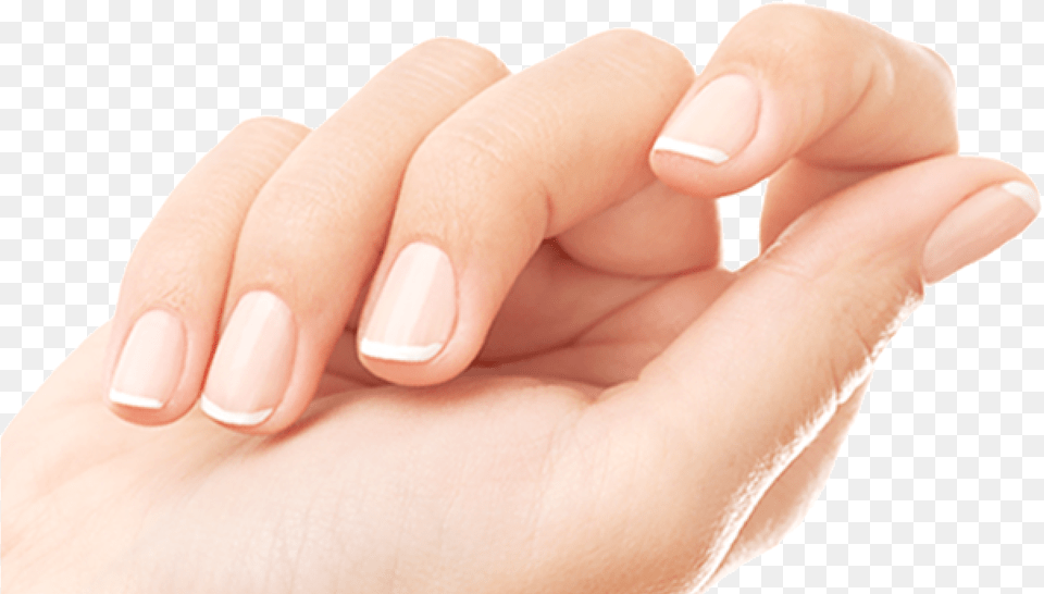 Nude Nail Skin Appropriate Nails, Body Part, Hand, Manicure, Person Png Image