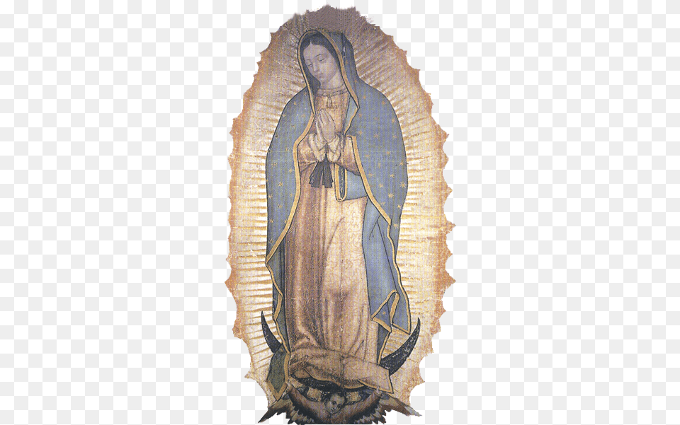 Nuestro A La Sierva De Dios Luisa Picarreta Basilica Of Our Lady Of Guadalupe, Adult, Wedding, Person, Female Free Transparent Png