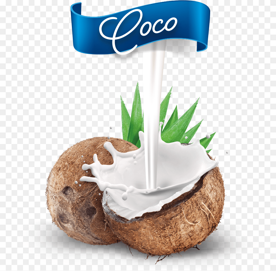 Nuevo Coco Mestre Mestre Coco, Food, Fruit, Plant, Produce Free Png