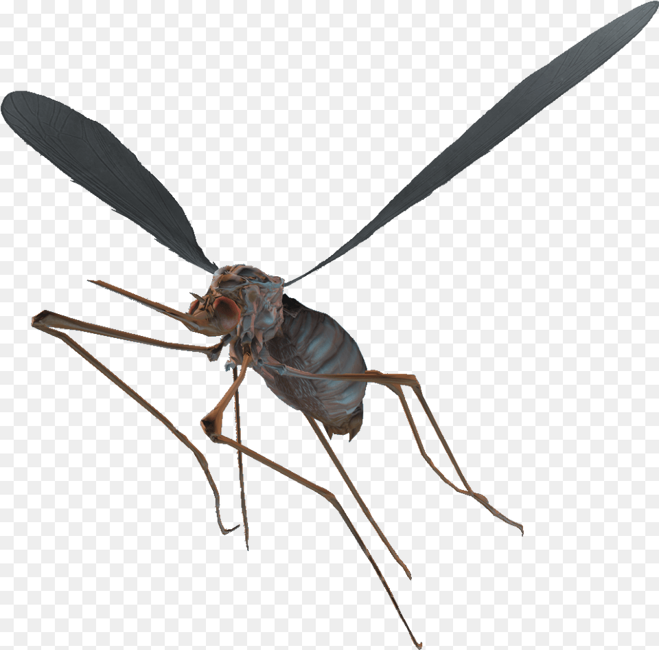 Nukapedia The Vault Fallout 4 Bloodbug, Animal, Bee, Insect, Invertebrate Png Image
