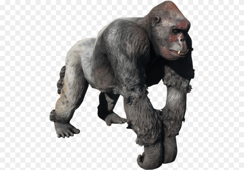 Nukapedia The Vault Fallout Gorilla, Animal, Ape, Mammal, Wildlife Png
