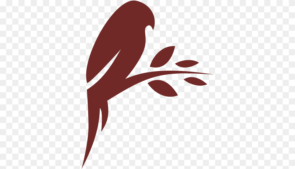 Null Parrot, Graphics, Art, Floral Design, Pattern Free Transparent Png