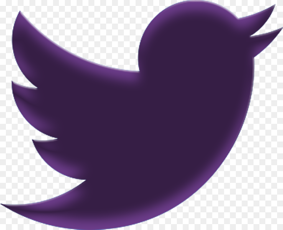 Null Twitter, Purple, Nature, Night, Outdoors Free Png Download