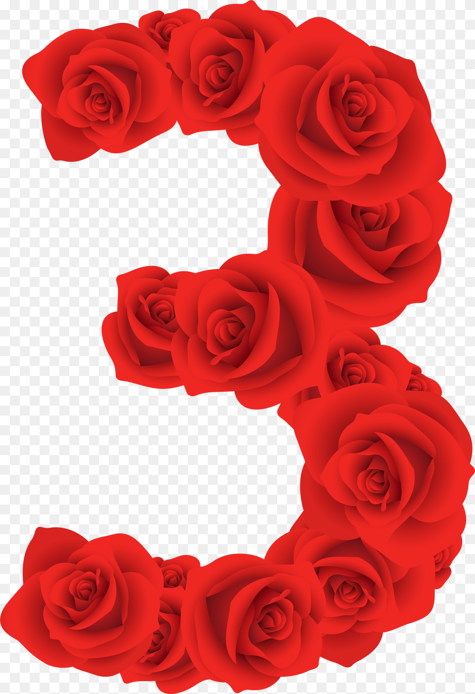 Number 3 In Roses, Logo, Text Free Transparent Png