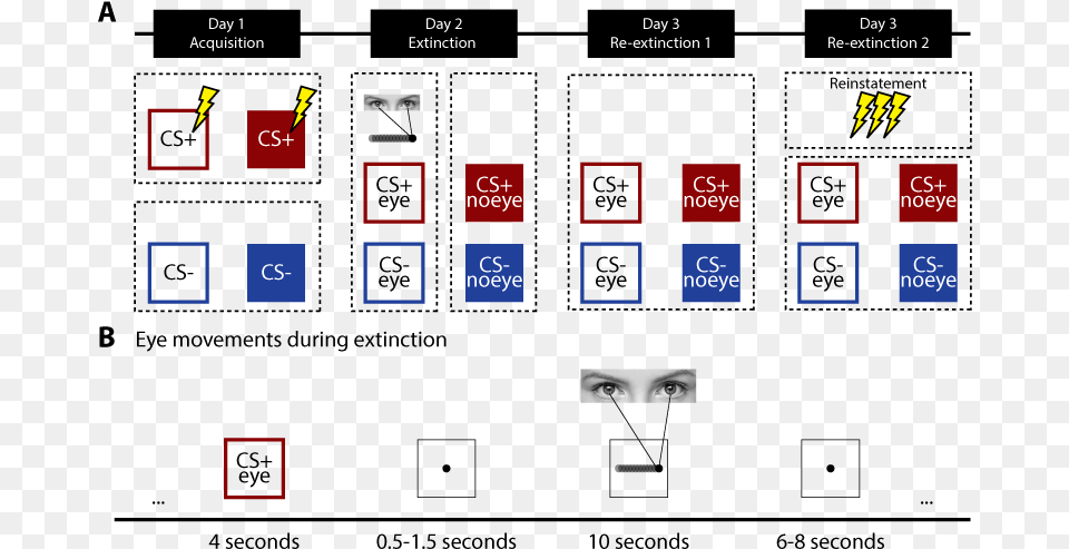 Number, Person, Face, Head Free Png Download