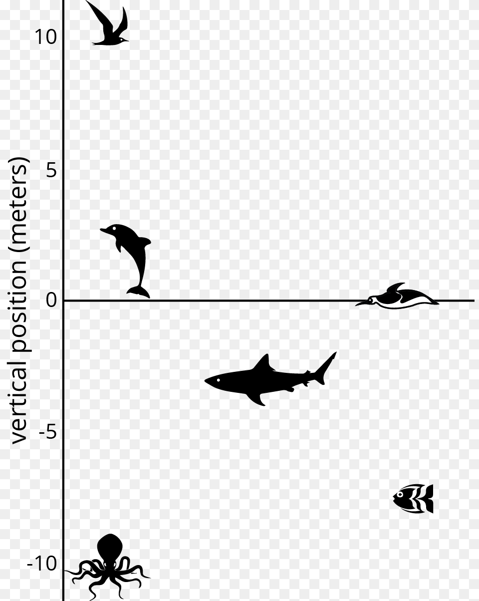 Number Line Subtraction Addition Animals Below Sea Level, Silhouette, Animal, Bird, Flying Free Png
