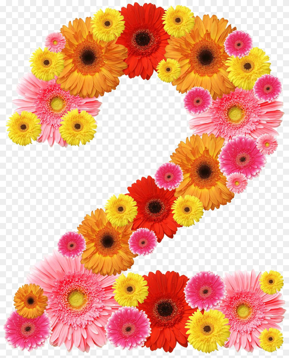 Number Number 2 Flower Design, Daisy, Plant, Petal, Flower Arrangement Png