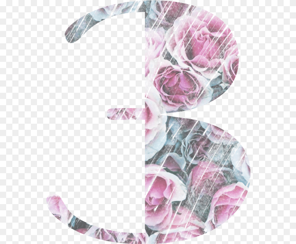 Number3 Numberthree Number Numbers Nummer Numberone Artificial Flower, Art, Plant, Rose, Collage Free Transparent Png