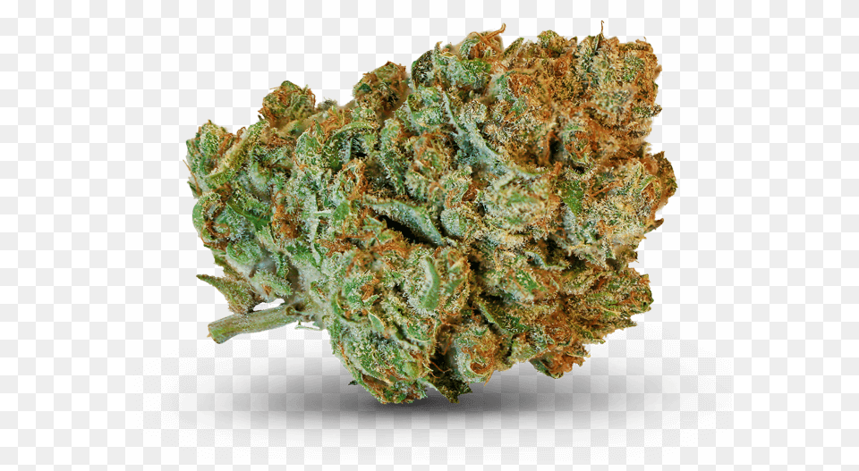 Nurse Joy Ak 47 Hybrid, Plant, Weed Free Png