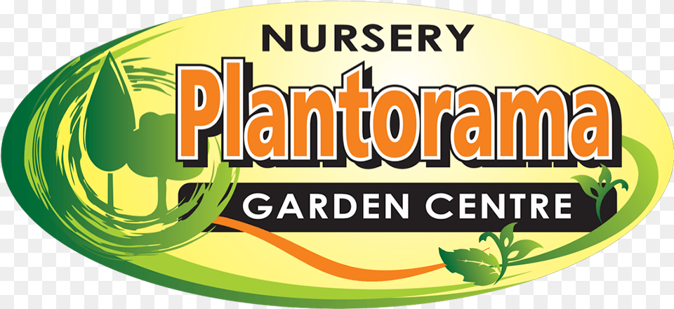 Nursery Amp Garden Centre, Herbal, Herbs, Plant, Green Png Image