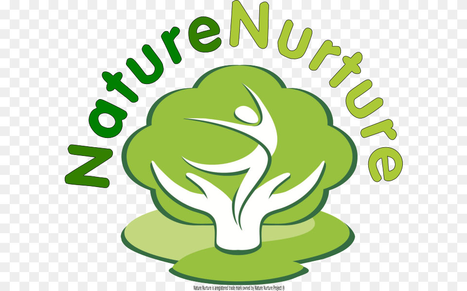 Nurture Vs Nature Clipart Clip Art Images, Green, Food, Produce Png Image