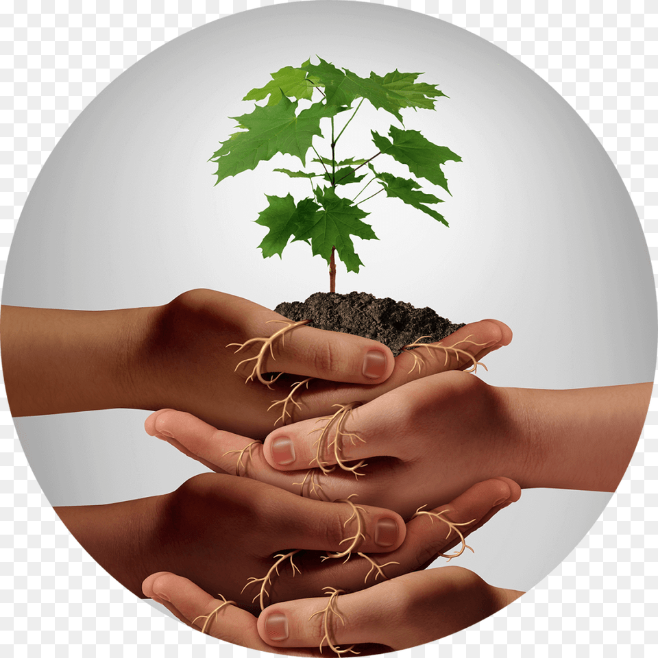 Nurturing Clipart, Person, Body Part, Finger, Hand Png Image