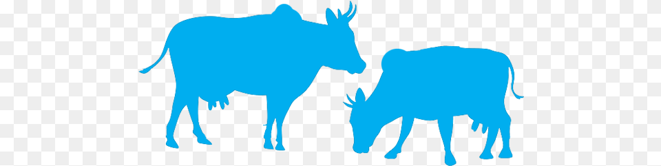 Nurturing Is Beyond Business Vaches Silhouette, Animal, Mammal, Bull, Wildlife Free Transparent Png