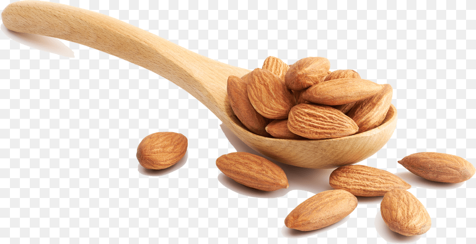 Nut Free Transparent Png